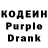 Кодеин Purple Drank Zaynab Amaturrashid
