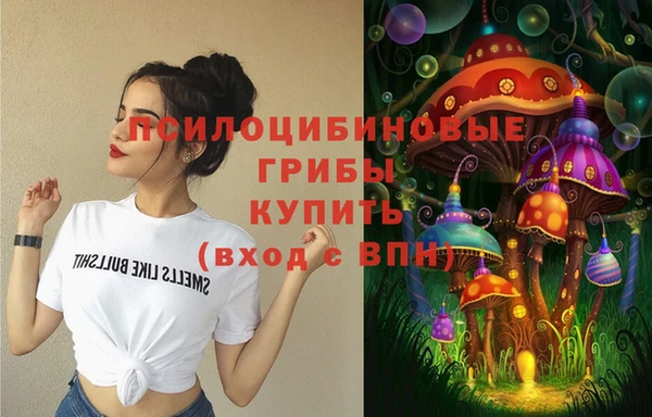 гидра Беломорск