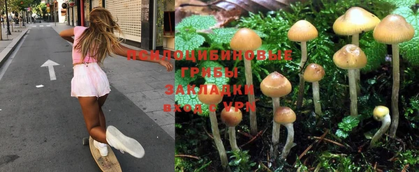 тгк Богданович